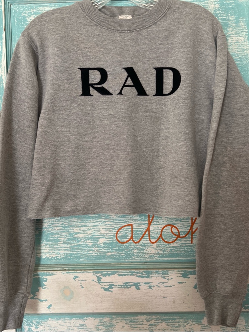 Brandy Melville John Galt RAD Cropped Crewneck Sweatshirt - Gray with Black Text